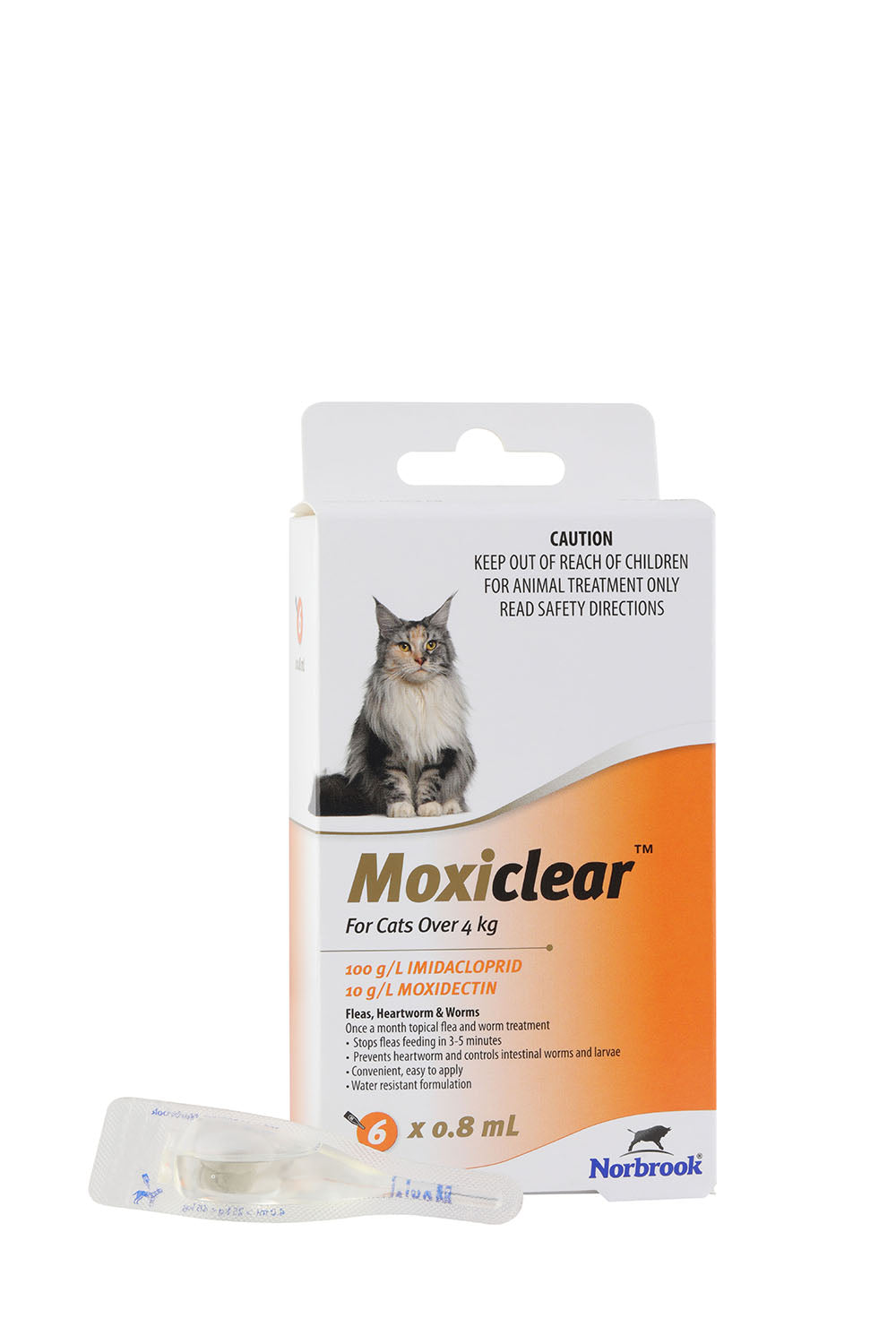 Moxiclear Cat Large Over 4kg Orange 6 Pack