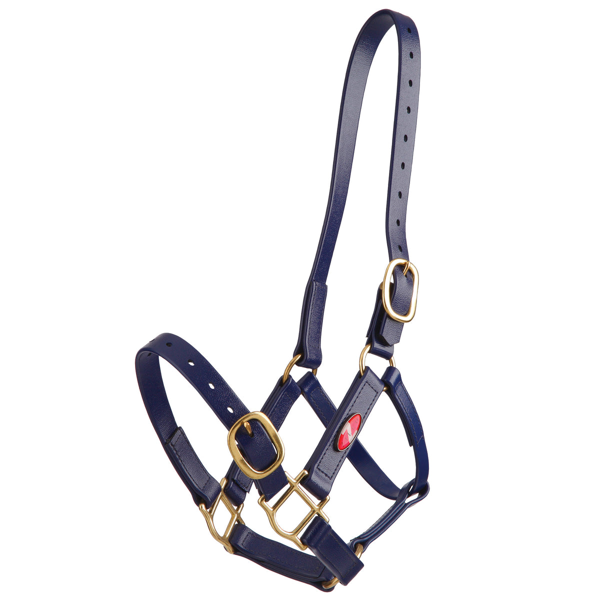 Halter Zilco Pn 25mm Cob Blue