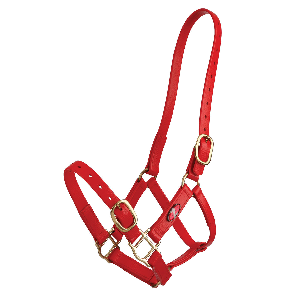 Halter Zilco Pn 25mm Cob Red