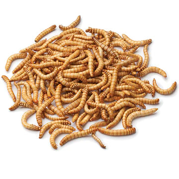 Mealworms 200gm Tub