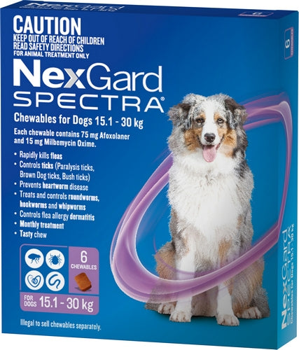 Nexgard Spectra Dog Chewable 15.1-30kg 6pack Purple