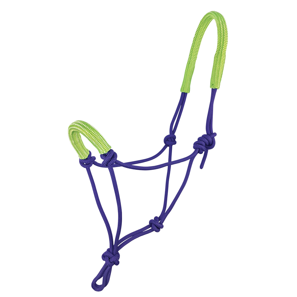 Halter Knotted Rope with Padded Nose Purple/Lime