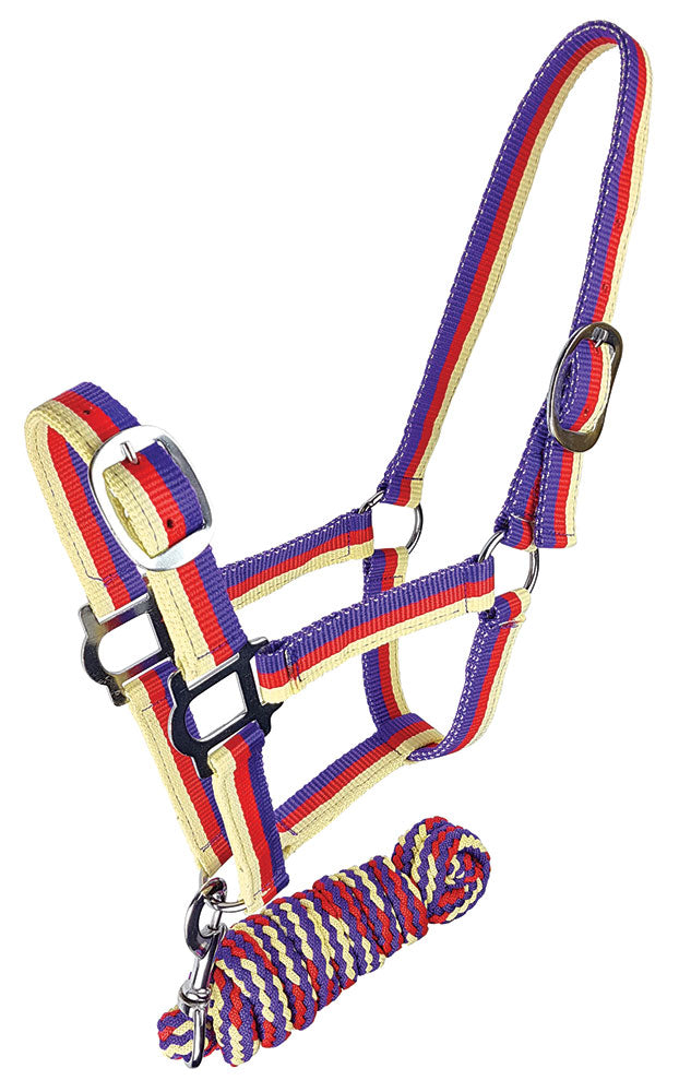 Halter And Lead Brite - Pur/red/cream Cob