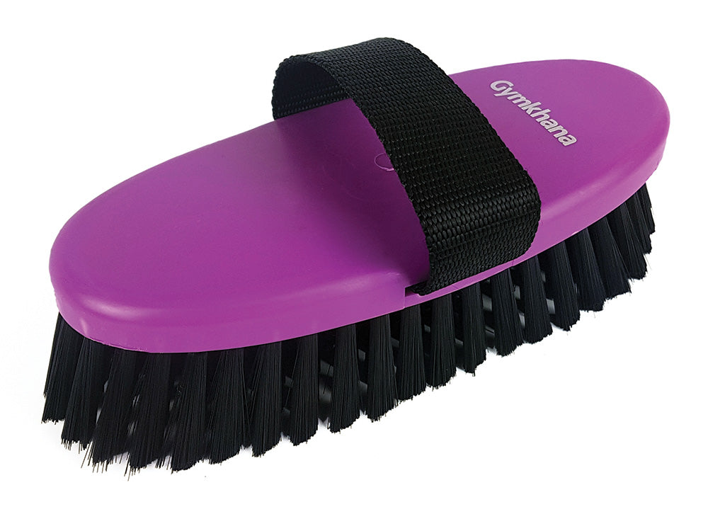 Body Brush Gymkhana Large Purple