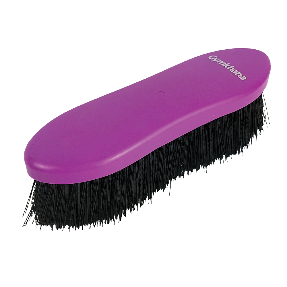 Dandy Brush Gymkhana Large Purple