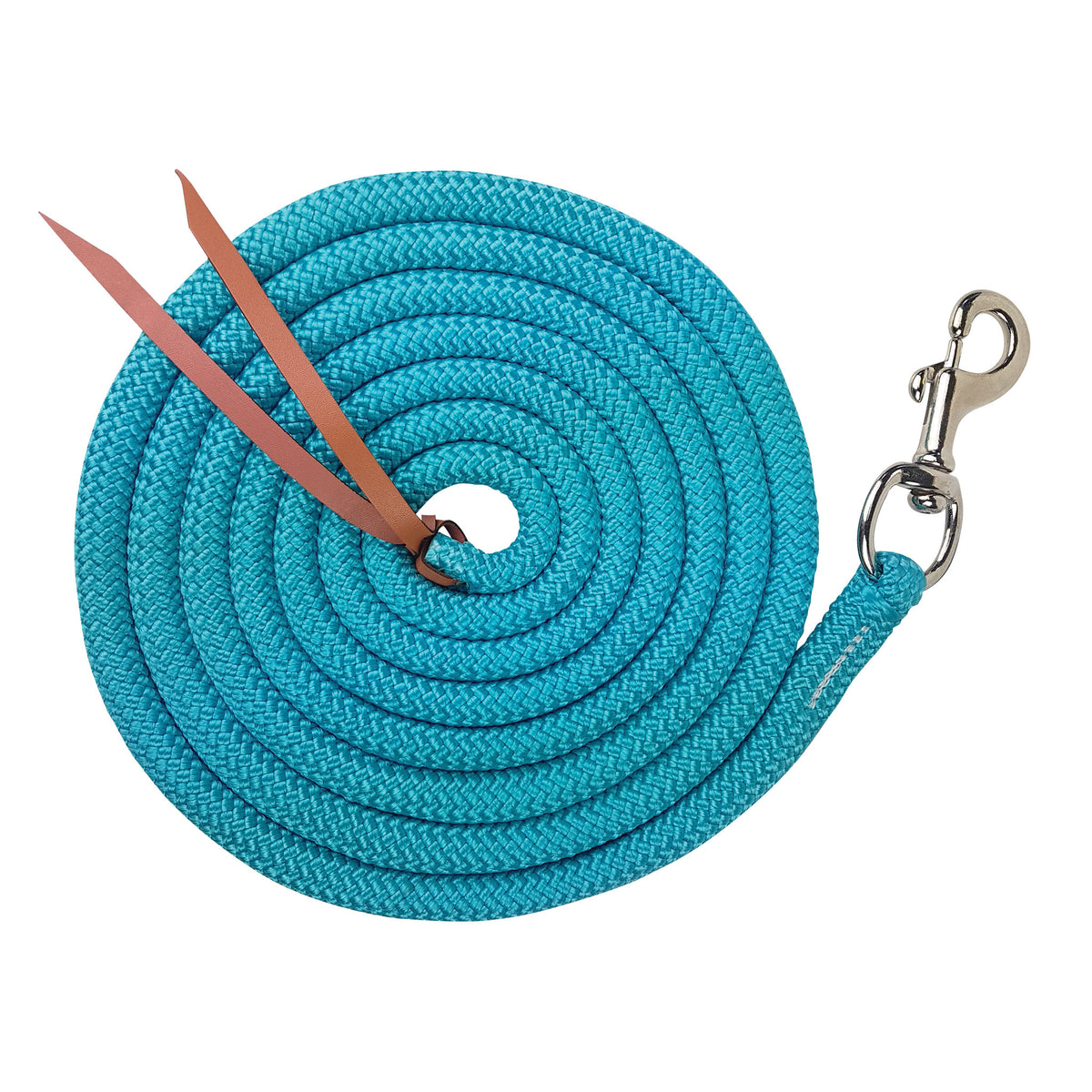 Training Lead 12ft Trigger Snap Turquoise