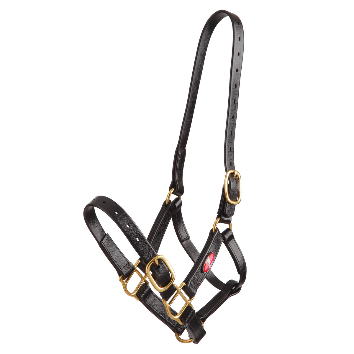 Halter Zilco Pn 25mm Cob Black