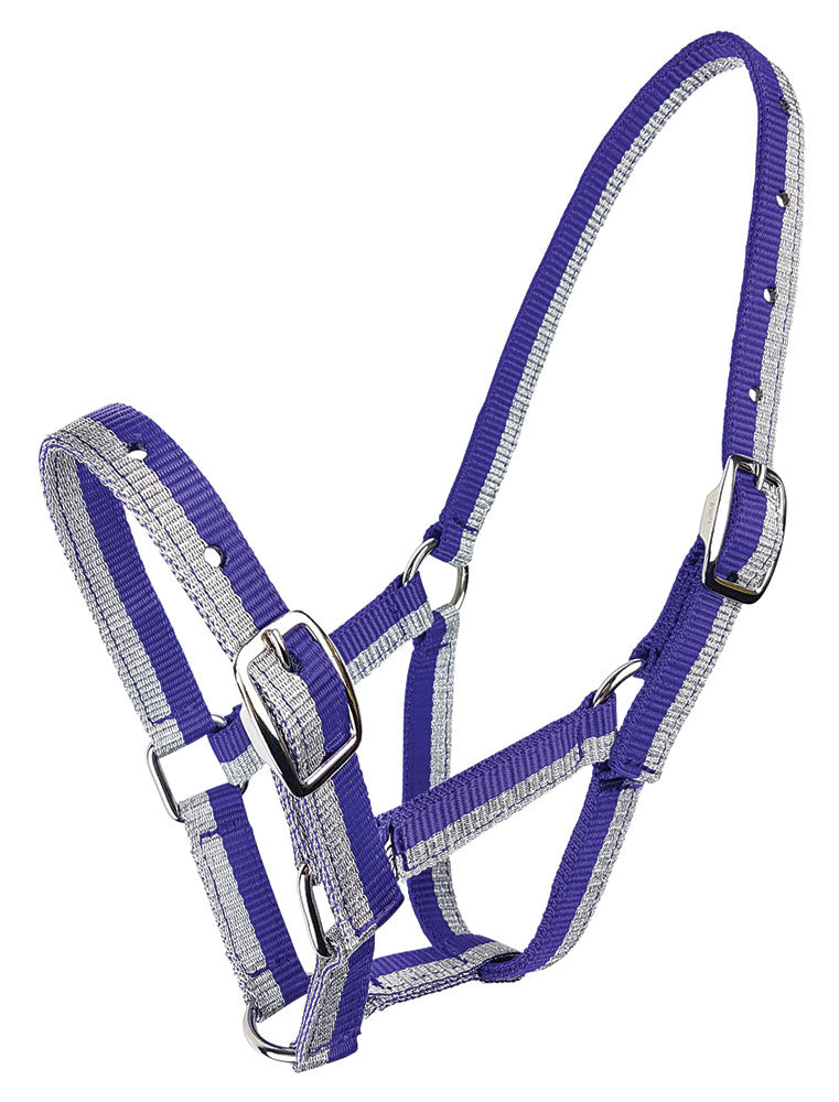 Halter Foal Sparkle - Purple/silver