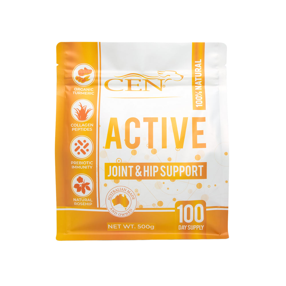 Cen Active For Dogs 500gm
