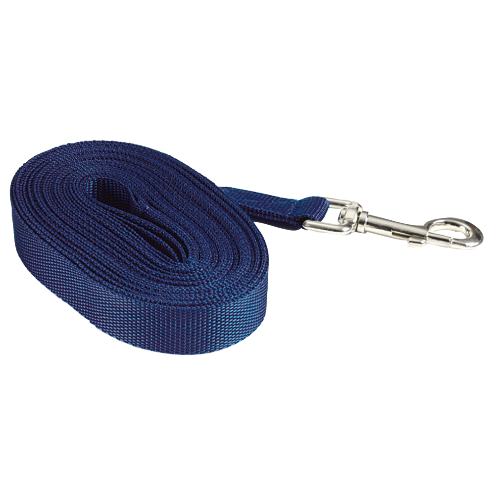 Lunge Rein Polypropylene Blue