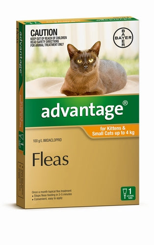 Advantage Cats Kittens and Small Cats 4kg Orange Single