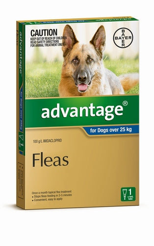 Advantage Dogs +25kg Royal Blue Single