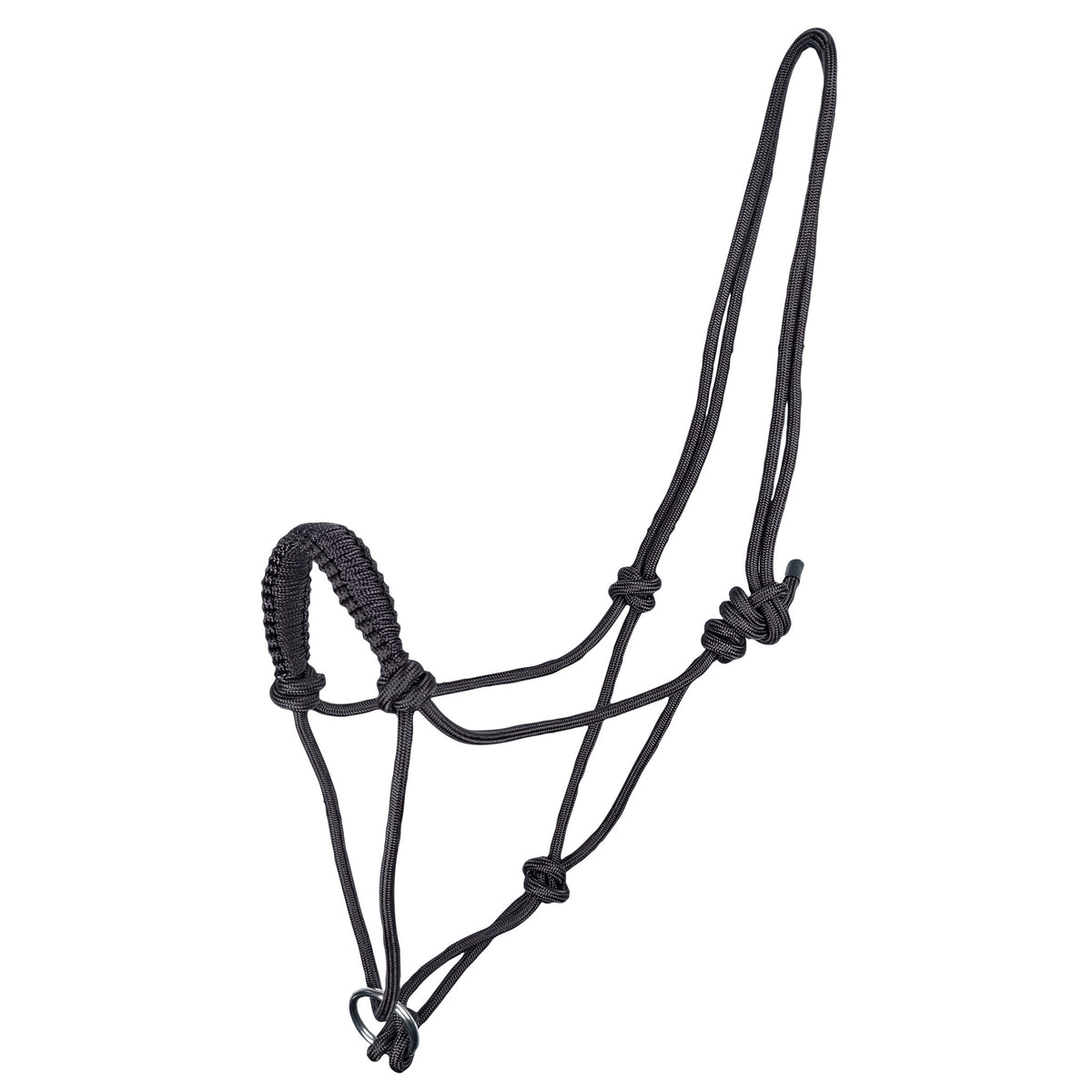 Rope Halter with Ring Black Cob