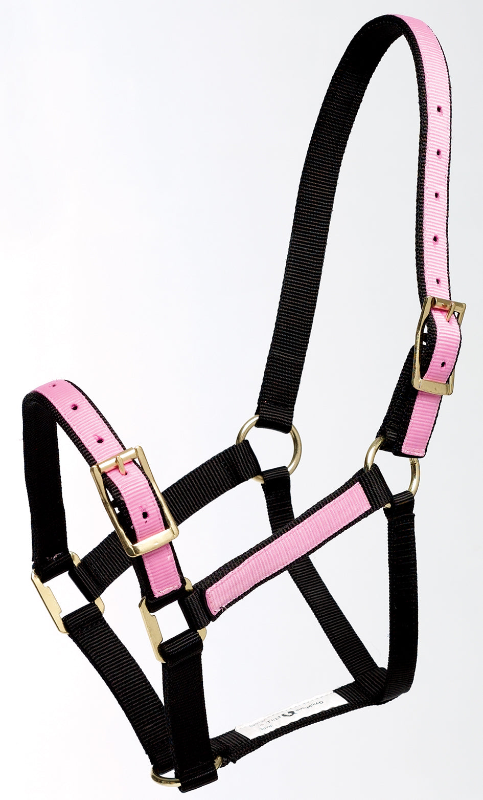 Halter Overlay Cob Pink/black