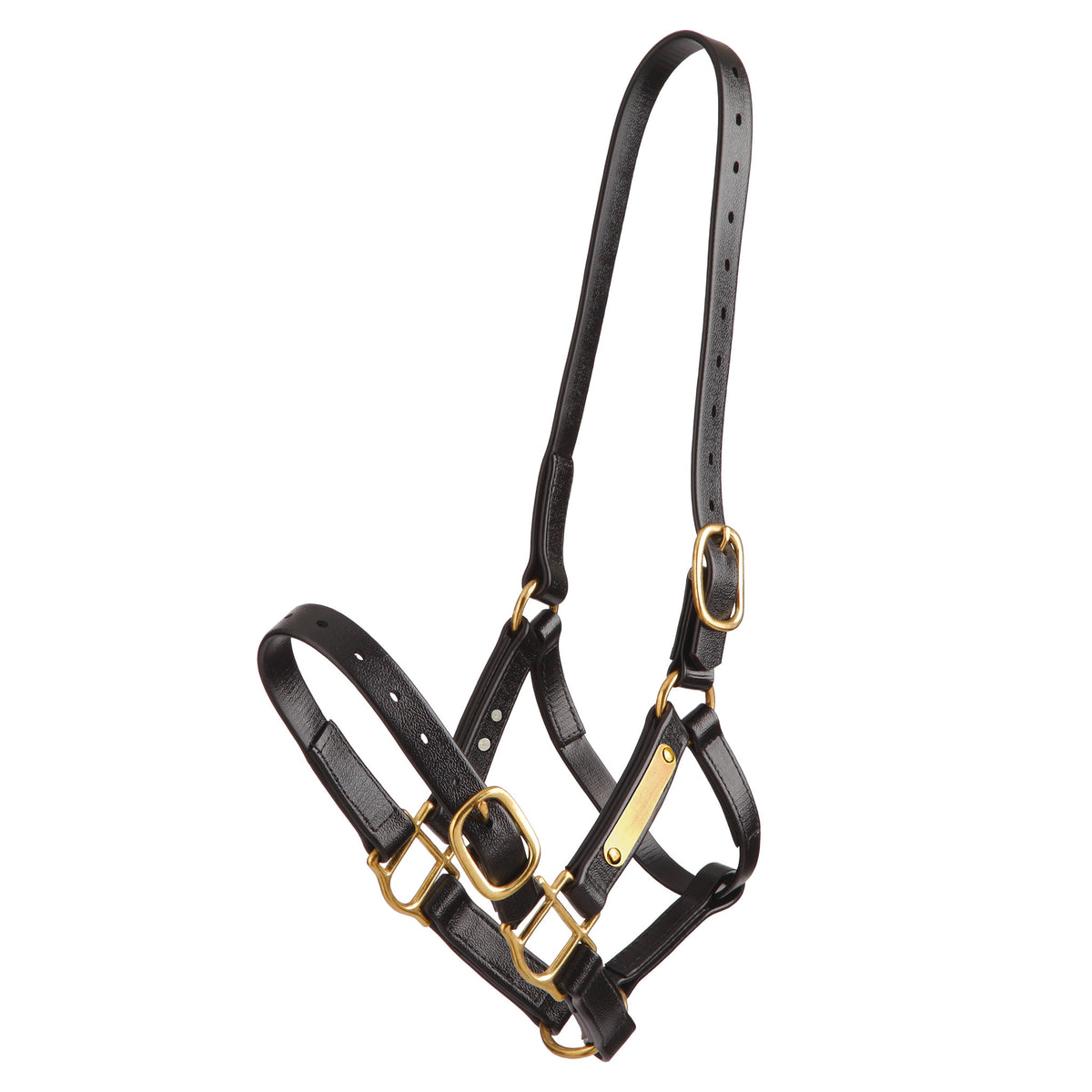Halter Zilco Pn 25mm Deluxe Cob Black