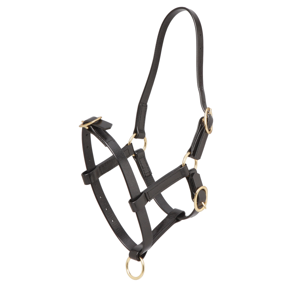 Halter Foal Zilco Brass Fittings Black
