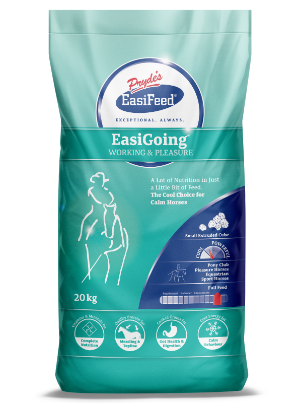 Prydes Easigoing