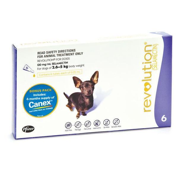 Revolution Puppies And Kittens Pink X 3 Pack