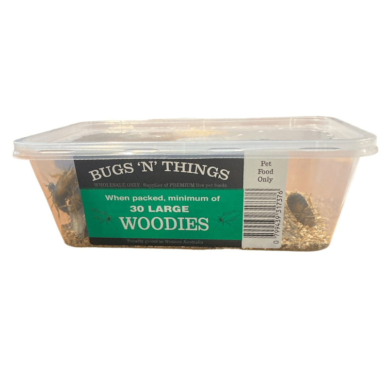 Woodies - 30 Large