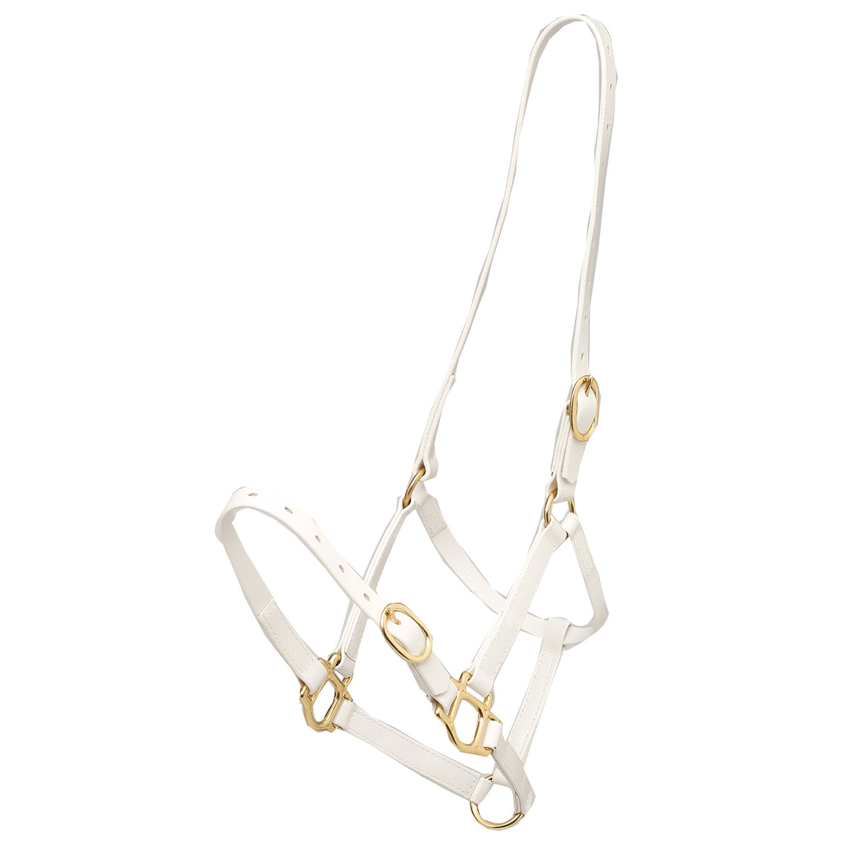 Halter Zilco Pn 19mm Cob White