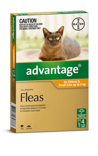 Advantage Cats Kittens and Small Cats 4kg Orange 4pk