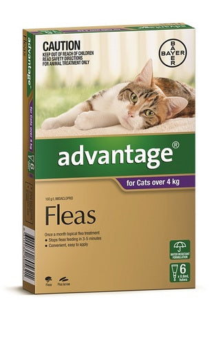 Advantage Cats Over 4kg Purp 6pk