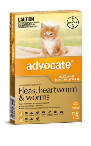 Advocate Cat Kittens And Small Cats Orange X 6 Pack