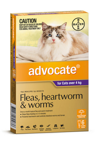 Advocate Cat Large 4kg+ Purple 6 Pack