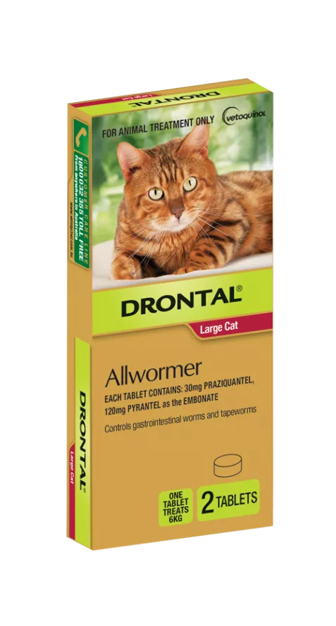 Drontal Cat Wormer Large Cat 2 Tablets 1 Tab Treats 6kg