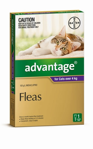 Advantage Cats Over 4kg Purple Single 1 Pack