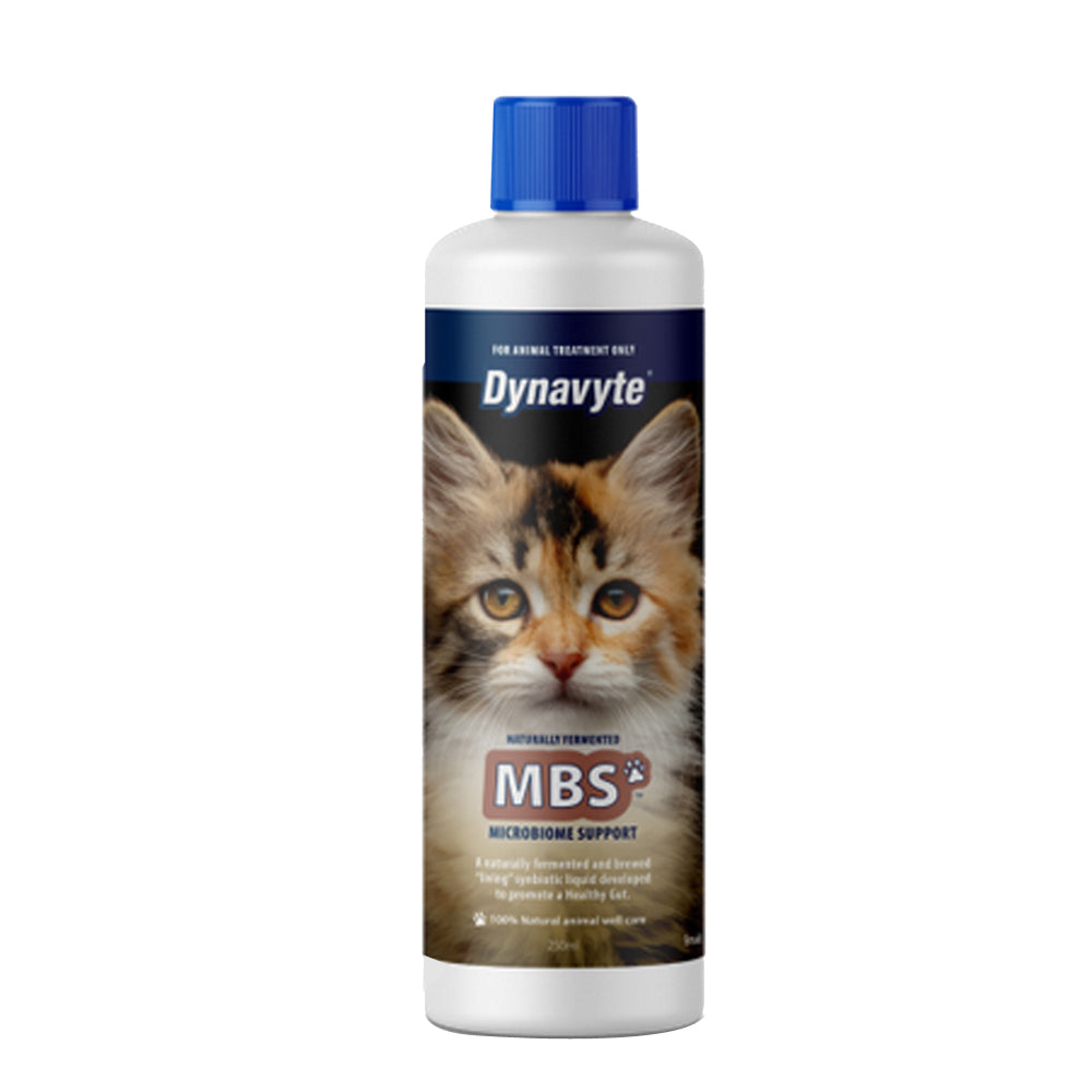 Dynavyte Mbs Microbiome Support Cat 250ml