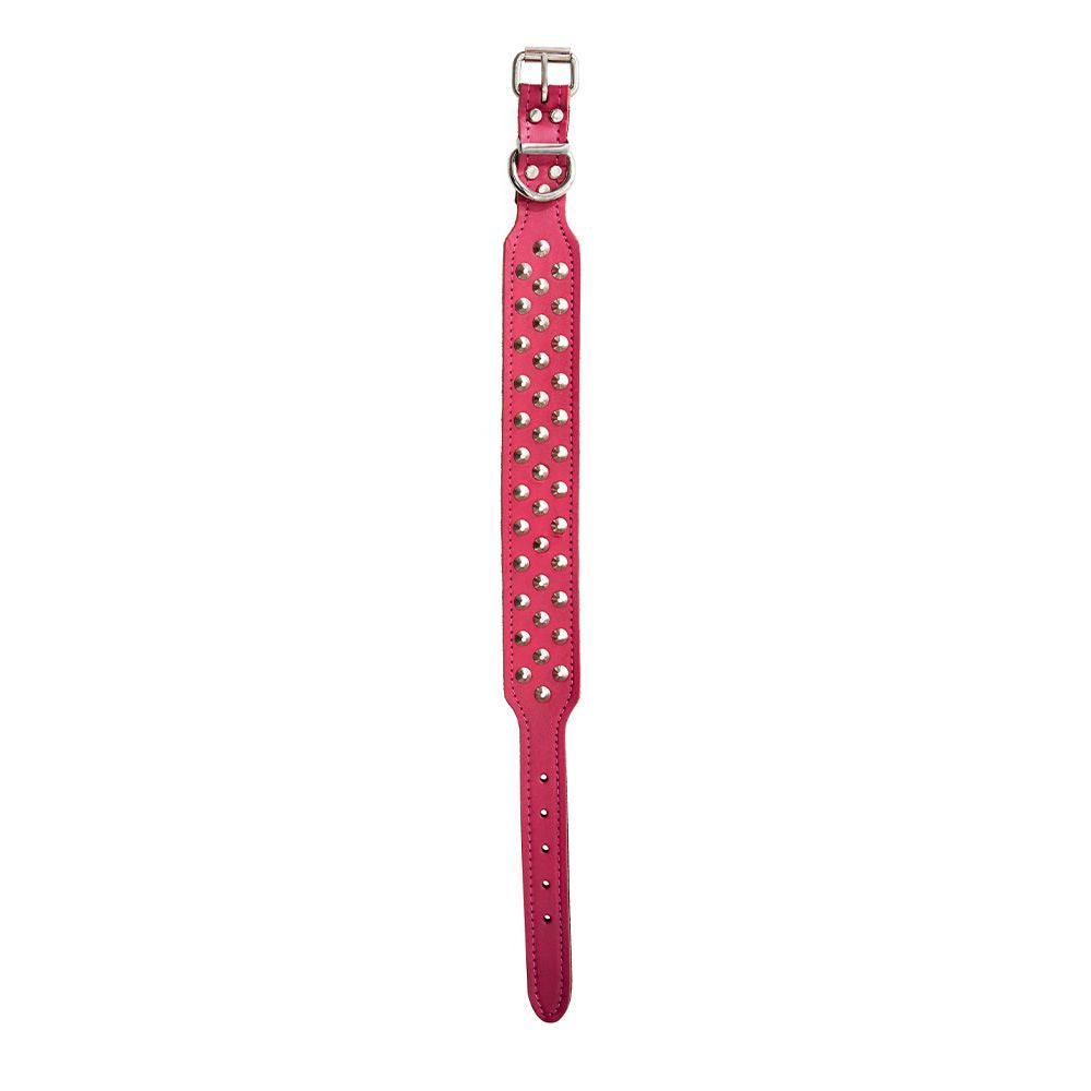 Collar Staffy Leather With Studs 55cm Pink