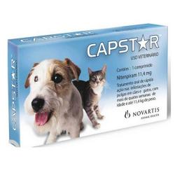 Capstar 11mg 6 Tabs - Cats And Small Dogs Blue
