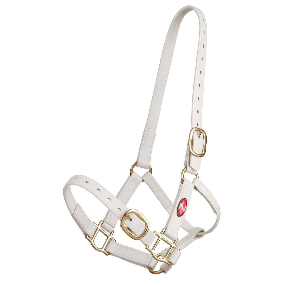 Halter Zilco Pn 25mm Cob White