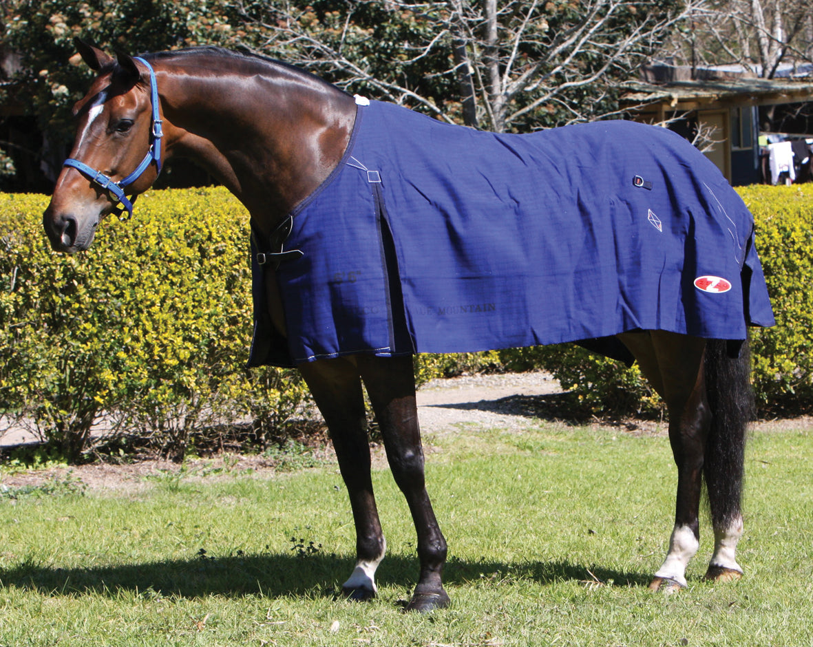 Rug Blue Mountain 59