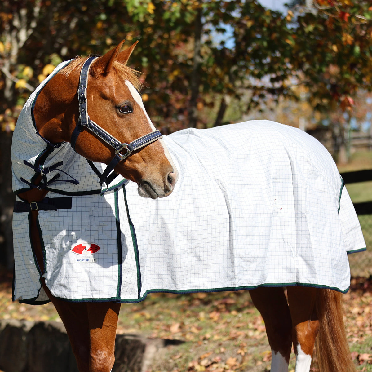 Combo Zilco Supastop 59