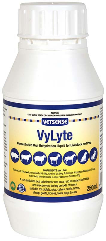 Vetsense VyLyte 250ml