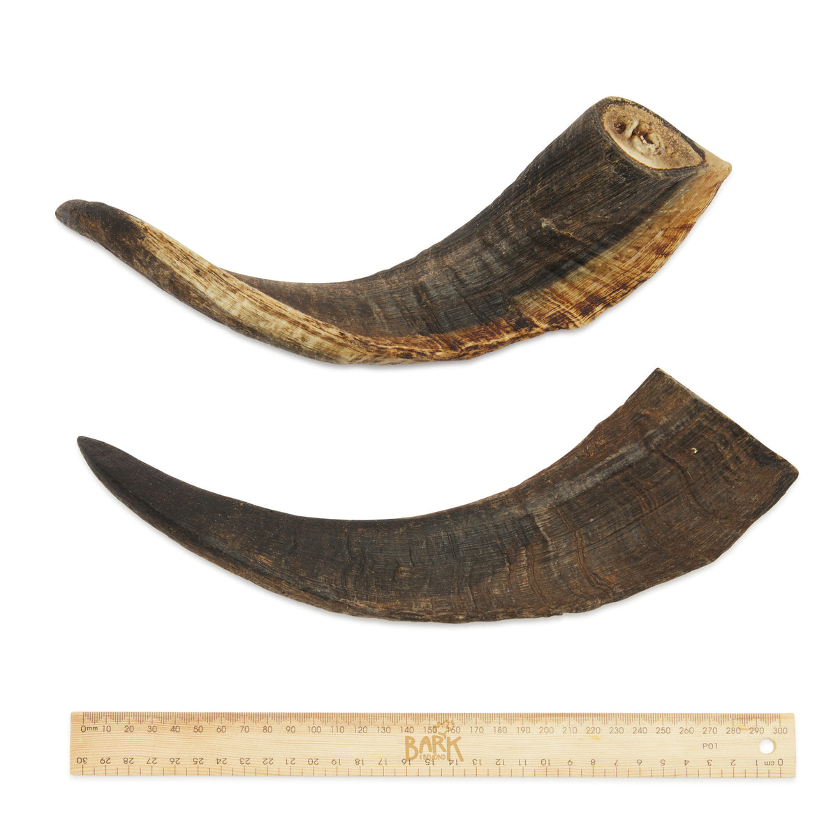BARK and BEYOND Goat Horns Large 27-32cm