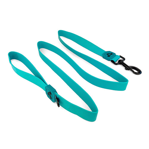 Dog Leash Waterproof - 2.5cm x 150cm - Aqua Blue