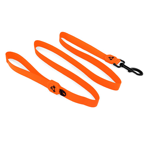Dog Leash Waterproof - 2.5cm x 150cm - Bright Orange