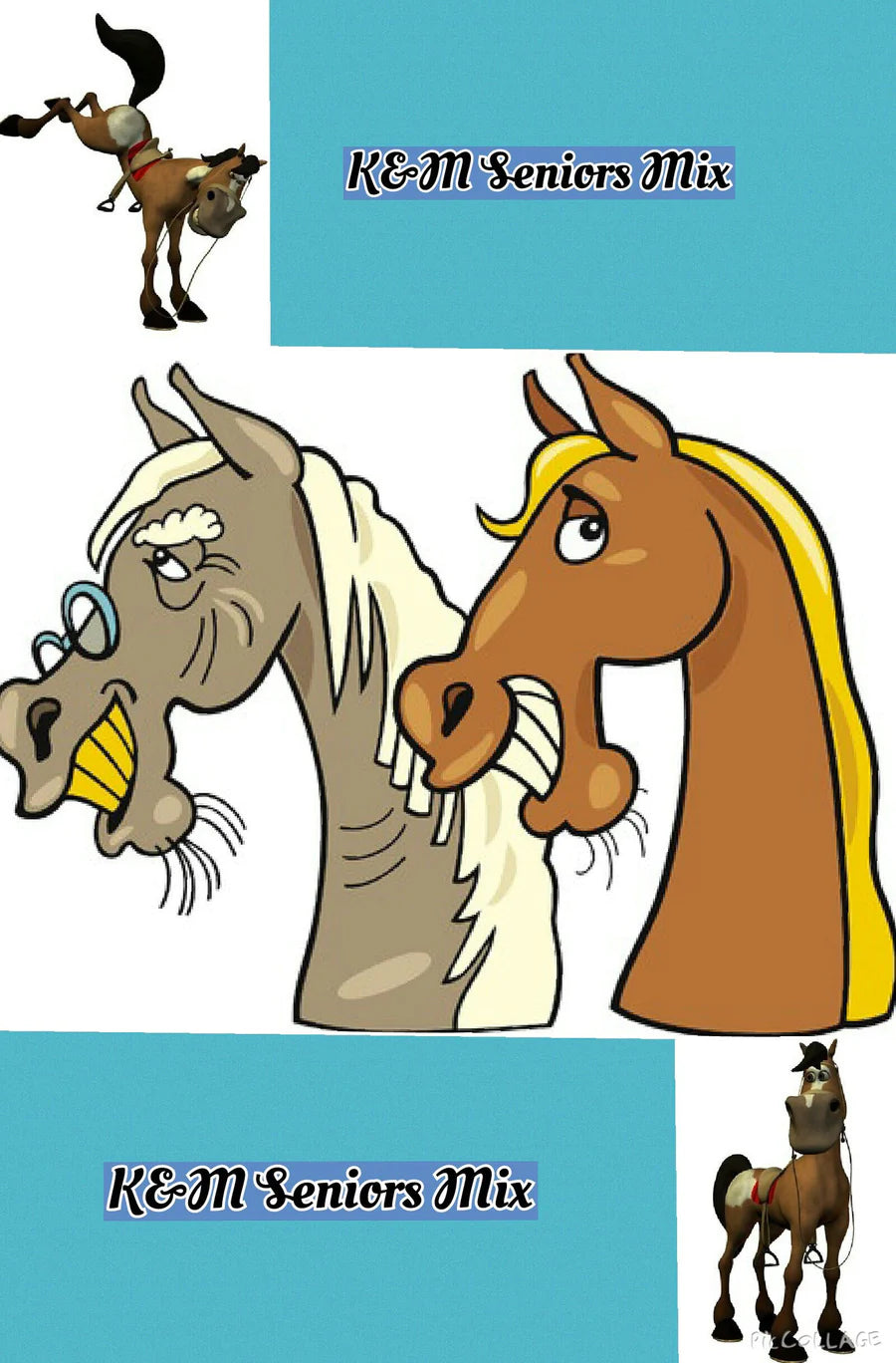 K&amp;M Naturals Seniors Mix