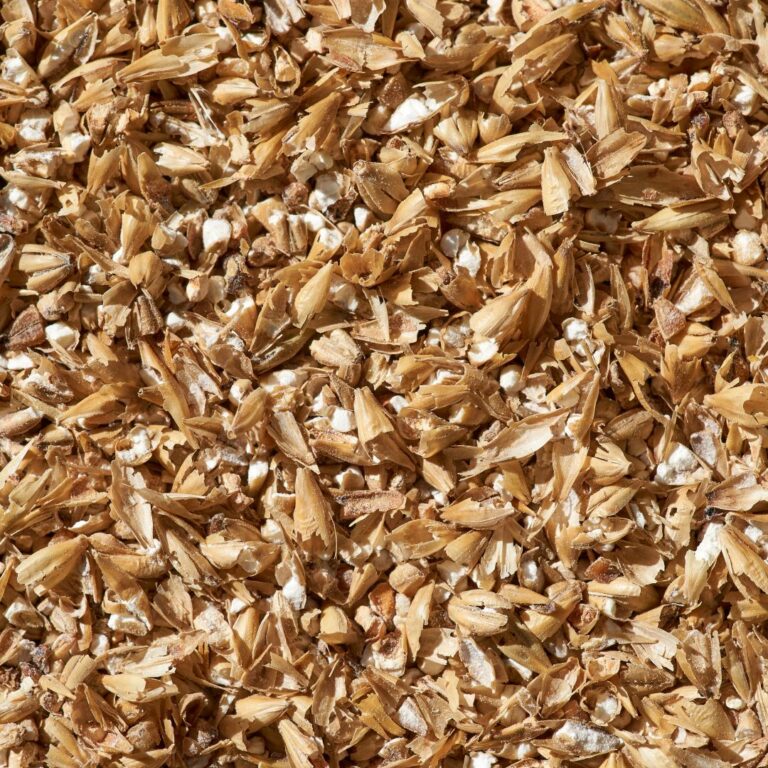 Barley Crushed