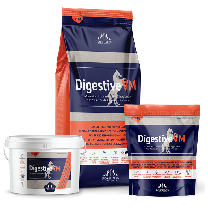 Daily Balance Digestive VM 4kg Satchel