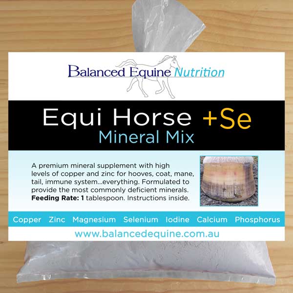 Equi Horse + Se Healthy Horse +se Mix