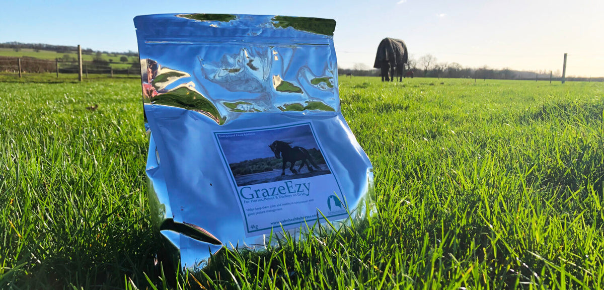 Calm Healthy Horses GrazeEzy 2kg