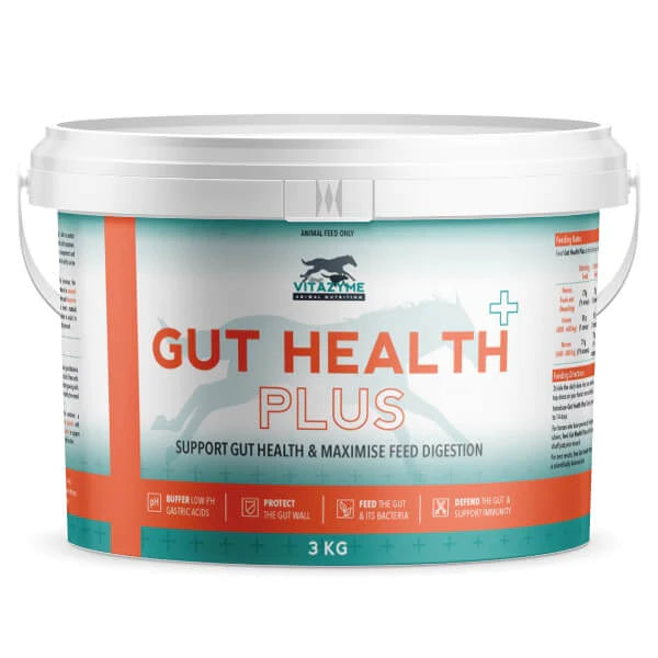 Gut Health Plus
