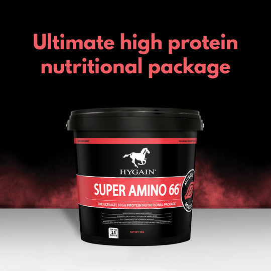 Hygain Super Amino 66