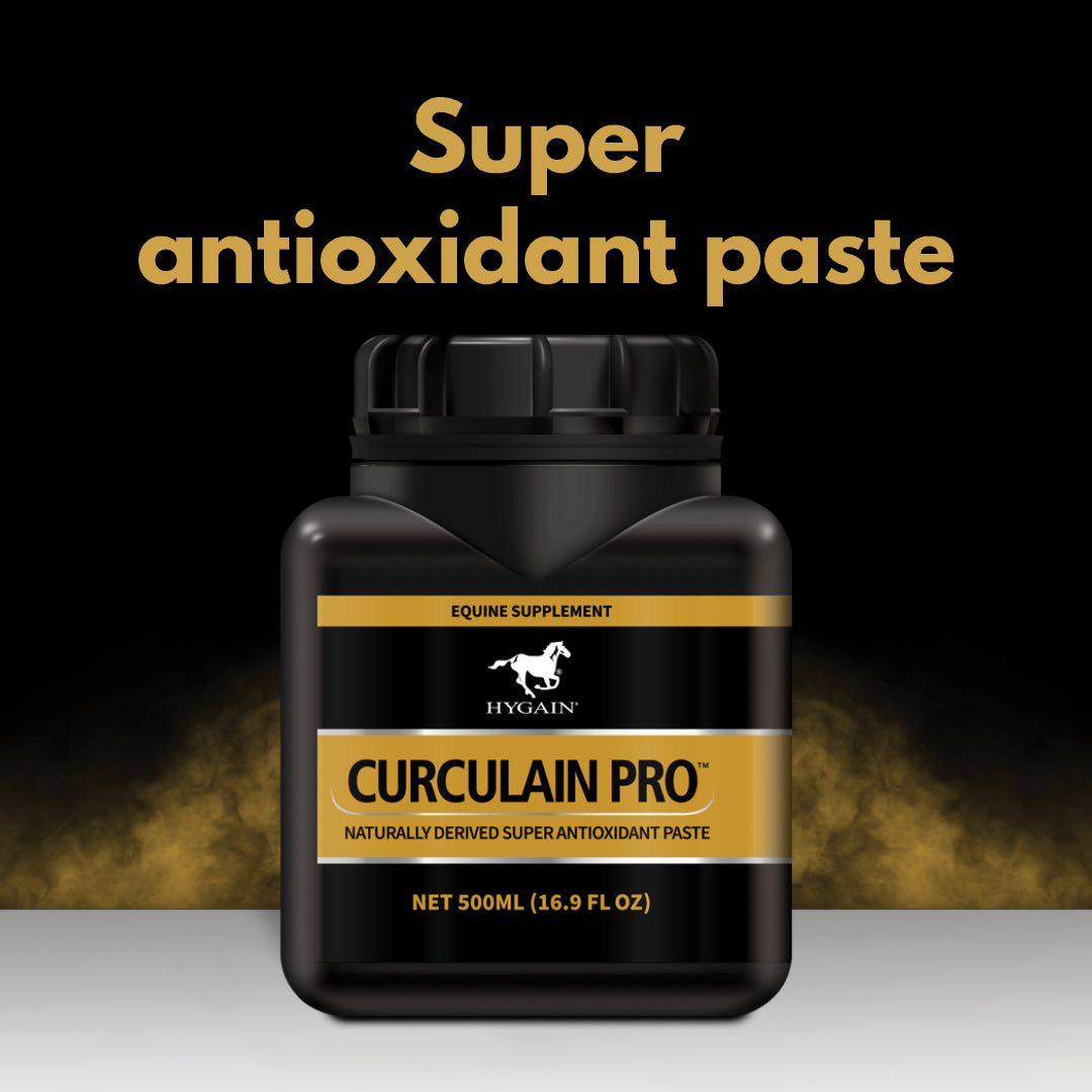 Hygain Curculain Pro