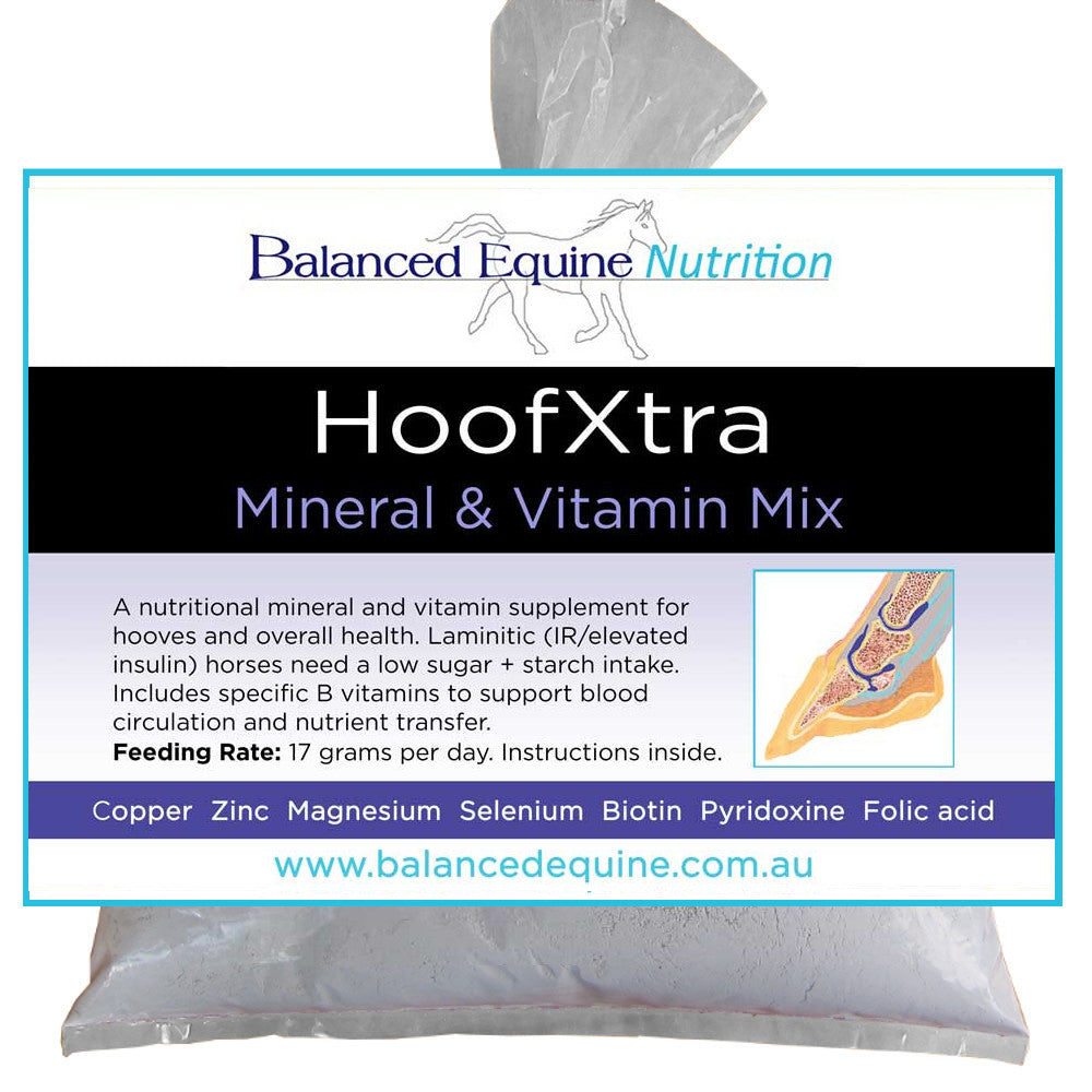 Hoofxtra Mix Laminitis Rescue