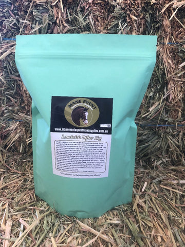 Mane Event Laminitis Lifter